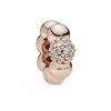 Pandora Signature 14K Rose Gold Plated CZ Spacer Charm Women -Women's Fashion General Store 6030445779 RLLD 1