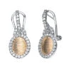 14K Plated & Silver CZ Drop Earrings Women -Women's Fashion General Store 6030690263 RLLD 1
